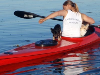 Kajakglæde og stabilitet hører sammen. Her en Viper 60 fra Nelo perfekt til formålet. (Foto: Anne-Mette Petersen, Sundby Kajakklub)